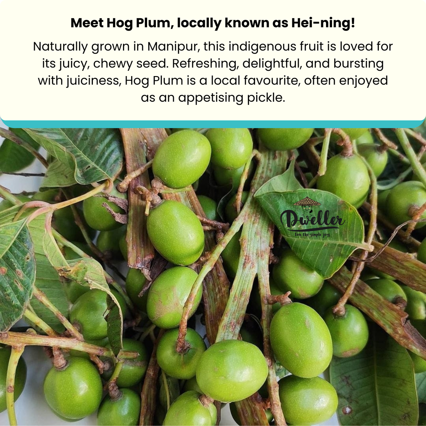 Spiced Hog Plum
