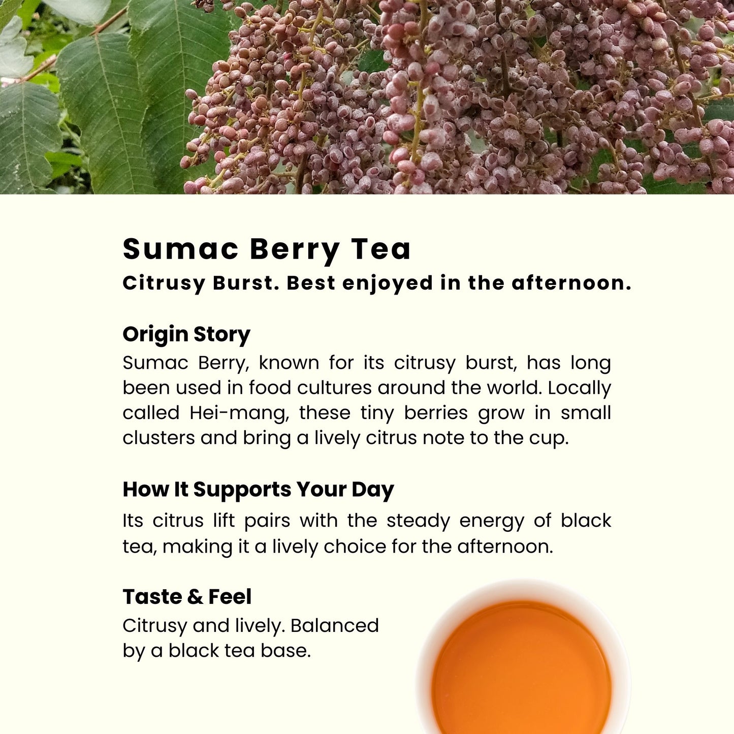 Sumac Berry