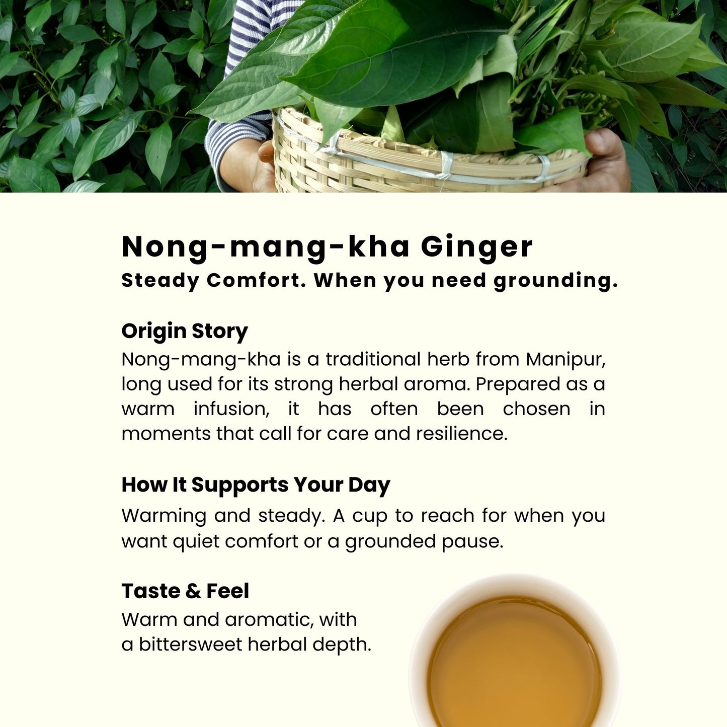 Nong-mang-kha Ginger