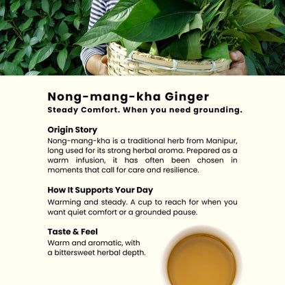 Nong-mang-kha Ginger