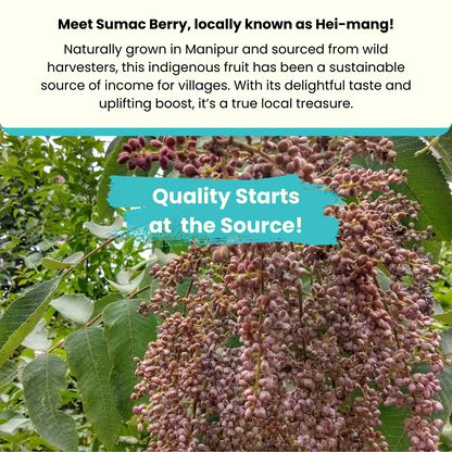 Sumac Berry